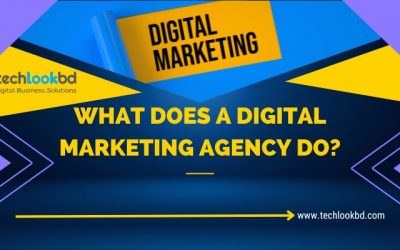 What Does a Digital Marketing Agency Do for Your Business?